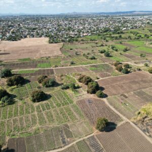 Terrains en vente Cameroun - au Centre